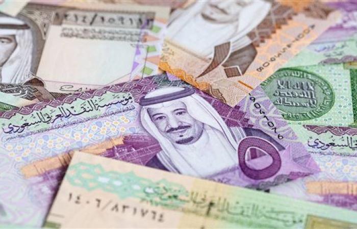 سعر الريال السعودي اليوم الثلاثاء 1-10-2024 في البنك المركزي المصري