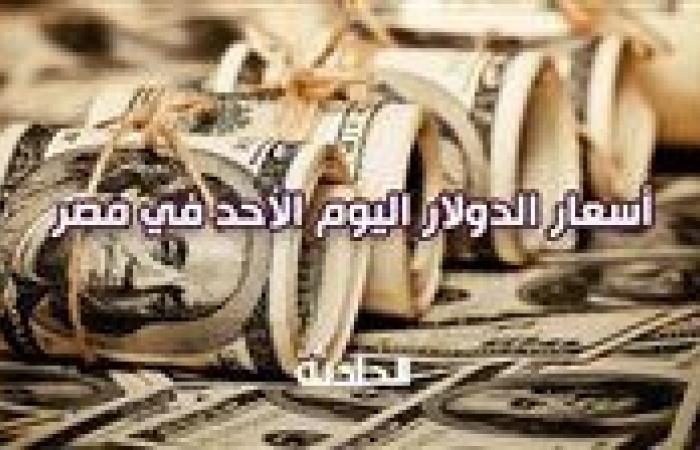 هل تأثر بحرائق لوس أنجلوس؟.. سعر الدولار اليوم الأحد 12 يناير 2025