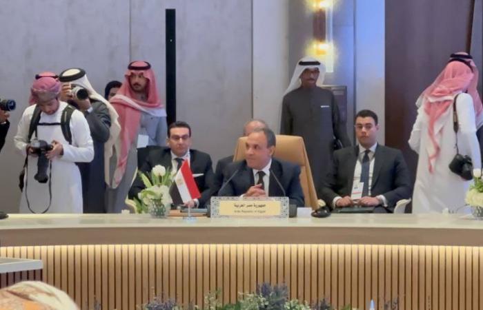 بدر عبد العاطي: مصر تقف بشكل كامل مع الشعب السوري الشقيق في دعم تطلعاته المشروعة