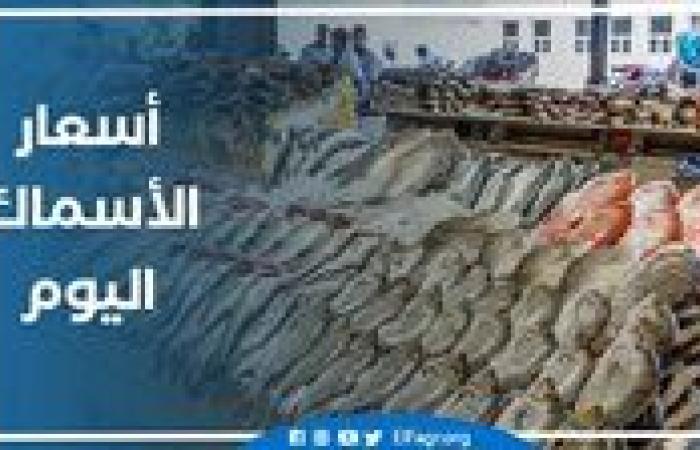 أسعار الأسماك اليوم الأحد 12-1-2025 في محافظة البحيرة