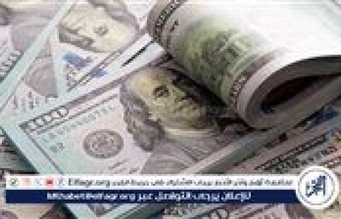 سعر الدولار أمام الجنيه المصري في تعاملات اليوم الاحد 12-1-2025