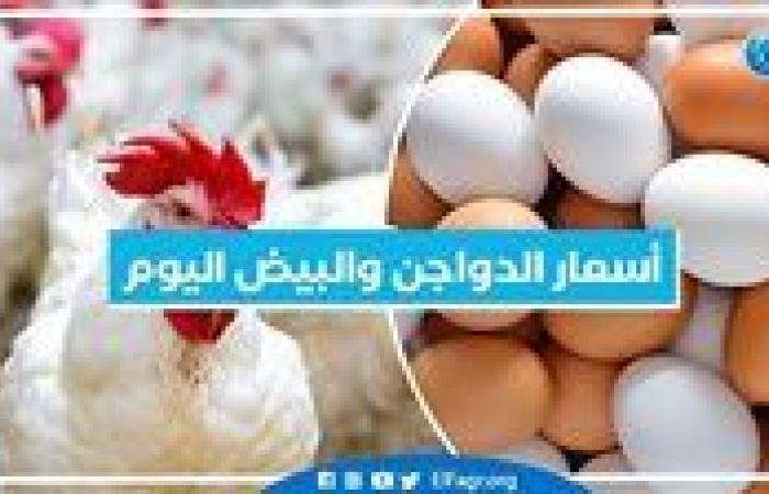 أسعار الدواجن والبيض اليوم الأحد 12-1-2025 بمحافظة البحيرة