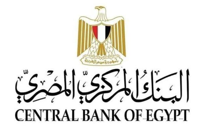 البنك المركزي: البنوك قدمت تمويلات بقيمة 1.28 تريليون جنيه لقطاع الصناعة خلال 2024