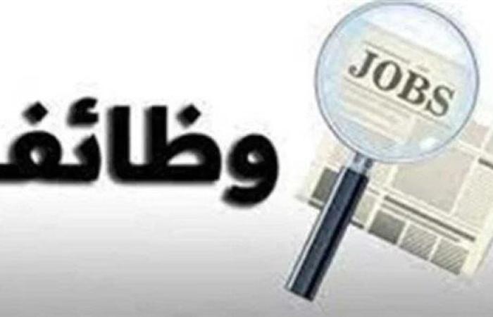 عاجل.. براتب يقارب 2000 جنيه يوميا.. وزارة العمل تعلن توافر 48 وظيفة