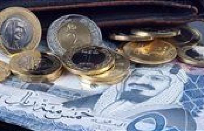 سعر الريال السعودي مقابل الجنيه المصري اليوم الاثنين 13 يناير 2025