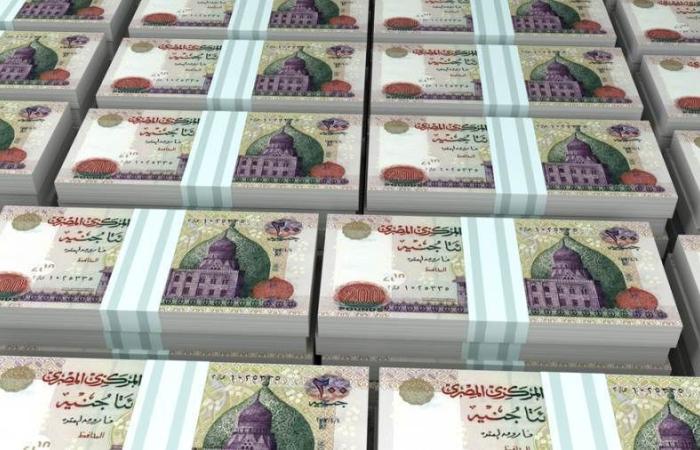 البنك المركزي: القطاع العائلي يستحوذ على 57.4% من ودائع البنوك بنهاية سبتمبر 2024