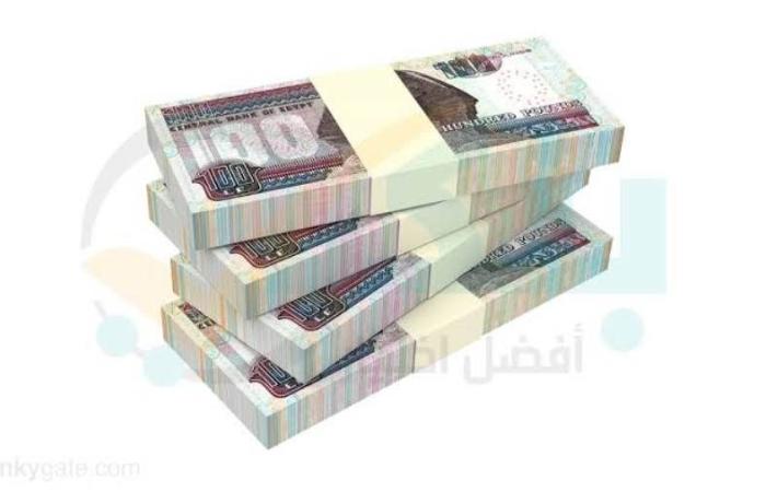 ارتفاع محفظة قروض QNB مصر لـ362.255 مليار جنيه بنهاية 2024