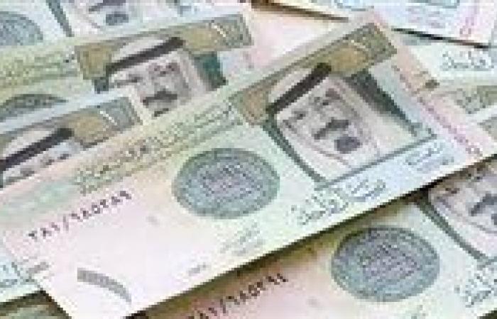 سعر الريال السعودي مقابل الجنيه المصري اليوم الثلاثاء 14 يناير 2025