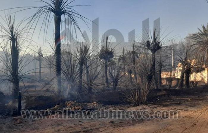 نار التدفئة تنهي حياة عامل في منشأة القناطر