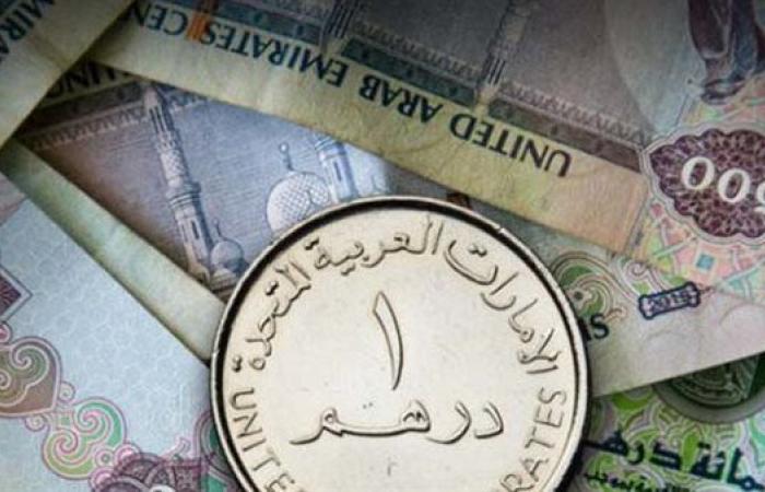 سعر الدرهم الإماراتي أمام الجنيه المصري في تعاملات اليوم الأربعاء 15-1-2025