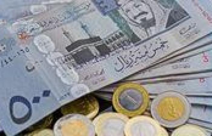 سعر الريال السعودي مقابل الجنيه المصري اليوم الأربعاء 15 يناير 2025