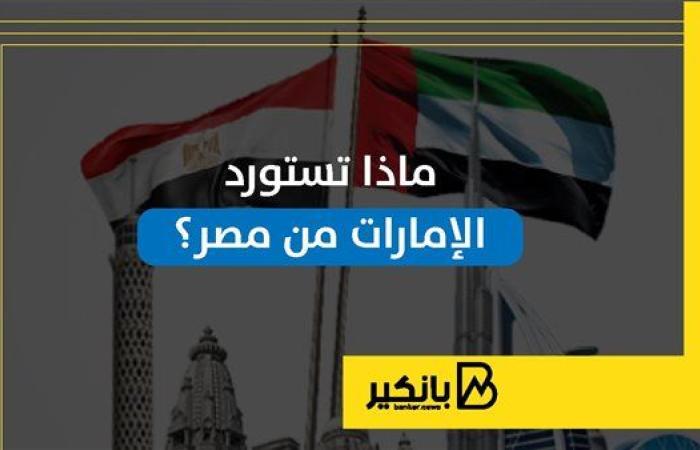 ماذا تستورد الإمارات من مصر؟ | إنفوجراف