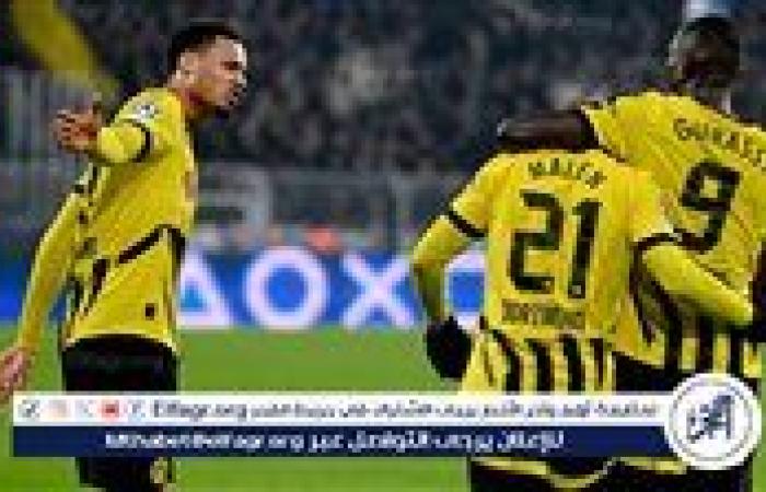 دورتموند يستعيد قوته الضاربة قبل مواجهة فرانكفورت