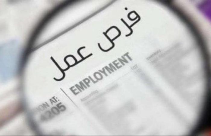 25,000 جنيه في الشهر.. وظائف برواتب عالية للمصريين