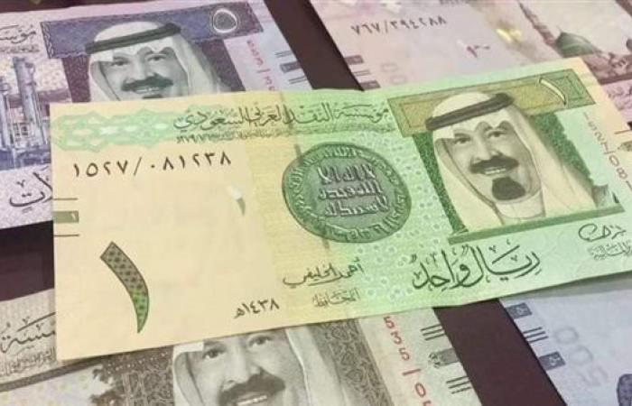 سعر الريال السعودي اليوم الأحد 19-1-2025 في البنك المركزي المصري