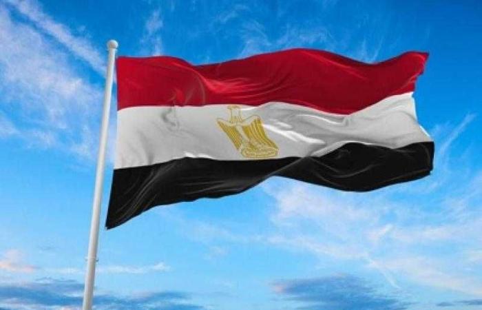 مستشار النمسا يثمن جهود مصر المتواصلة لوقف إطلاق النار في غزة وحقن الدماء