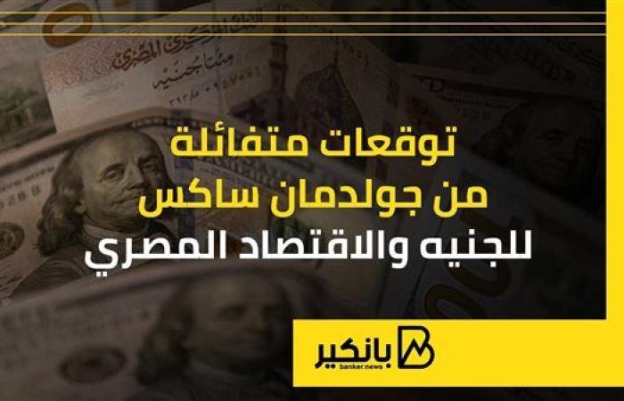 توقعات متفائلة من جولدمان ساكس للجنيه والاقتصاد المصري | إنفوجراف