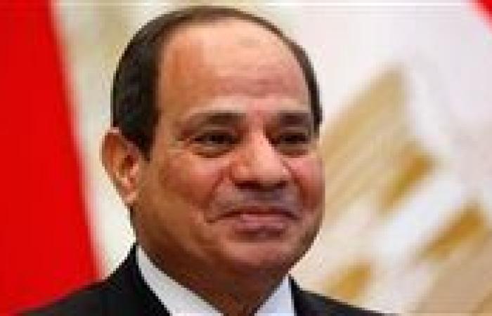 الرئيس السيسي: مصر ستدفع بقوة لتنفيذ اتفاق وقف إطلاق النار بغزة