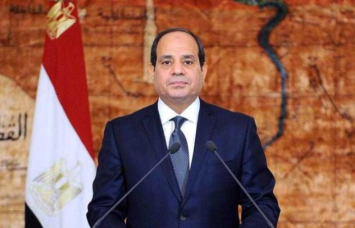 الرئيس السيسي: الدولة تحتاج إلى 20 مليار دولار سنويًا لتوفير المواد البترولية