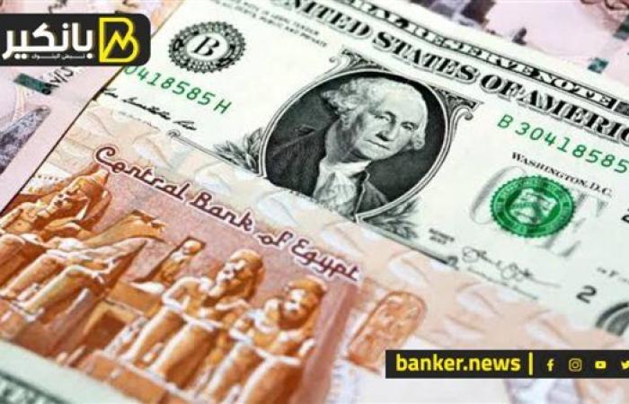 "فيتش" تكشف توقعاتها لسعر الدولار مقابل الجنيه المصري في 2025