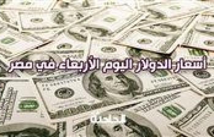 استقرار نسبي في البنوك.. سعر الدولار اليوم الأربعاء في مصر