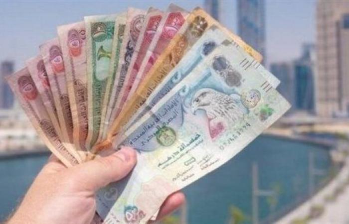 سعر الدرهم الإماراتي أمام الجنيه المصري في تعاملات اليوم الجمعة 24-1-2025