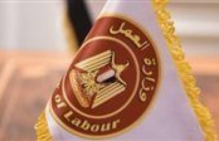 وظائف فى الإمارات 2025.. وزارة العمل تواصل تلقى ...