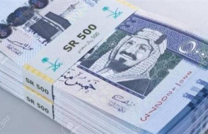 سعر الريال السعودي أمام الجنيه المصري في تعاملات اليوم السبت 25-1-2025