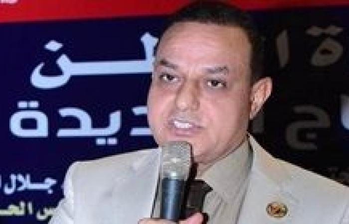 أمين حماة الوطن بسوهاج يشيد ببيان الخارجية المصرية الداعم للسعودية ويؤكد موقفنا الثابت تجاه القضية الفلسطينية