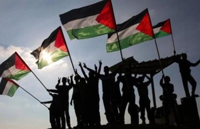 أستاذ علاقات دولية: الموقف العربي ثابت وواضح تجاه دعم القضية الفلسطينية