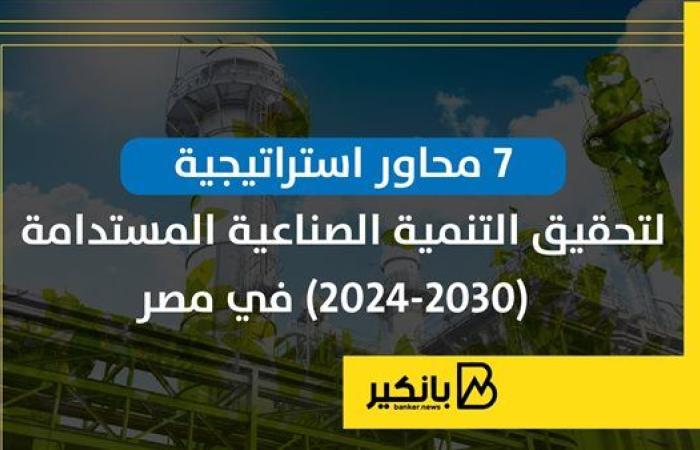 7 محاور استراتيجية لتحقيق التنمية الصناعية المستدامة  (2024-2030) في مصر | إنفوجراف