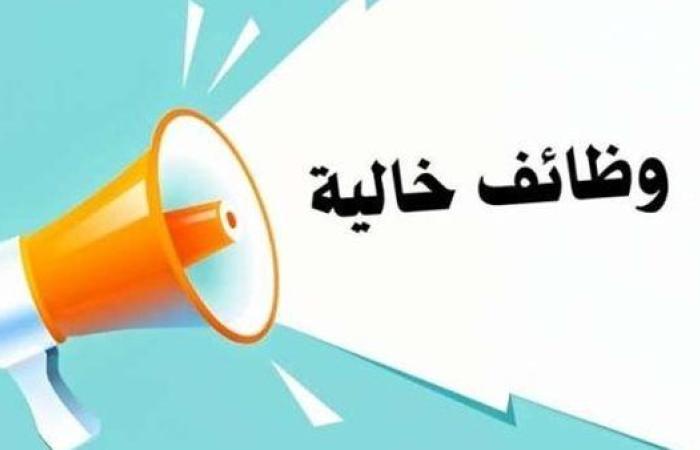 عاجل.. رواتب تصل لـ11 ألف جنيه.. وزارة الشباب تعلن عن فرص عمل