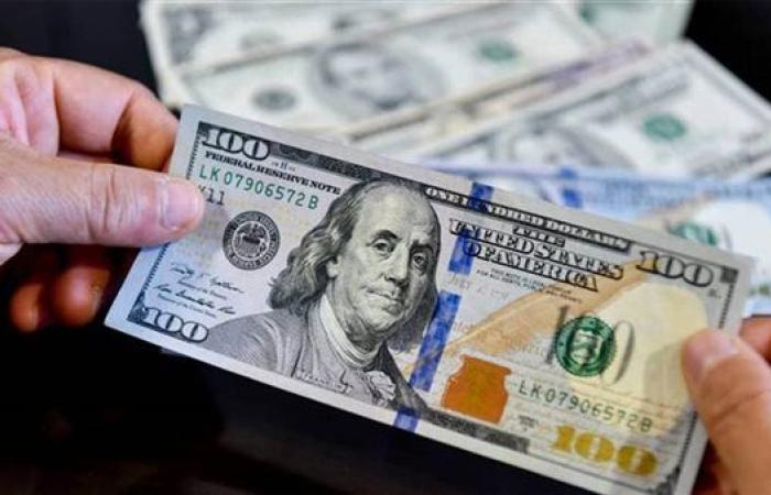 سعر الدولار أمام الجنيه اليوم الثلاثاء 11-2-2025 في البنوك