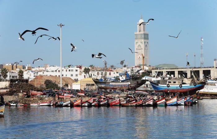 معهد يوصي بـ"حزام إفريقي أزرق"