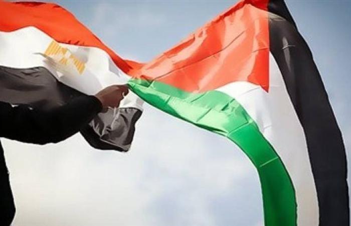 طاهر النونو: مصر بذلت جهودًا كبيرًا في القضية الفلسطينية وبالأخص وقف إطلاق النار