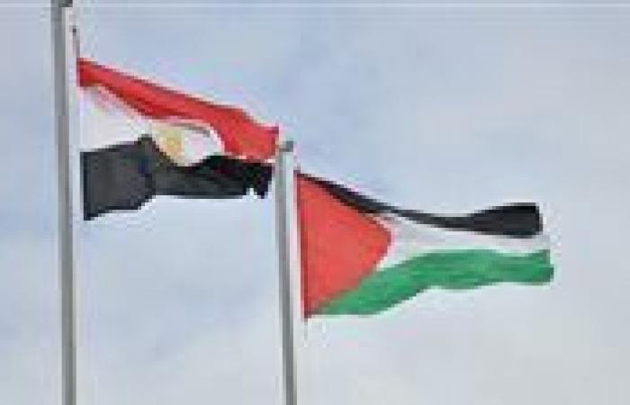 عاجل| أول تعليق من مصر على قرار إسرائيل باحتلال قطاع غزة