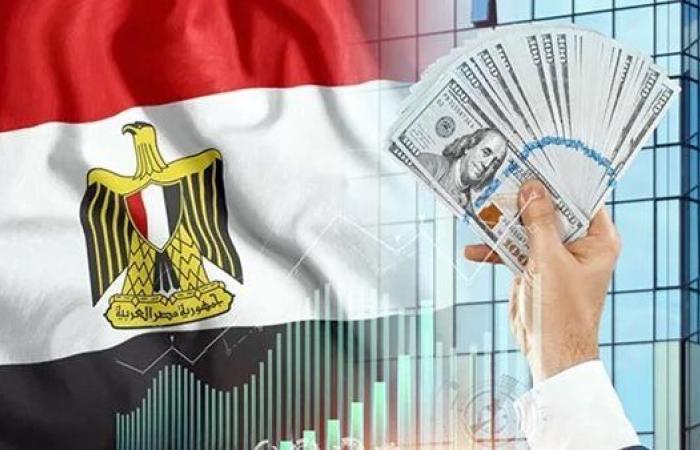 ضمن العشرة الكبار عالميا.. الاستثمارات الأجنبية تنهال على مصر