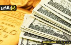 ارتفاع الدولار والعملات.. واستمرار تطوير قدرات "تسعير المعاملات الضريبية"