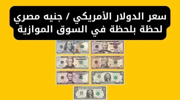 سعر الدولار في السوق السوداء مقابل الجنيه المصري اليوم الأحد الموافق 23 لشهر فبراير 2025