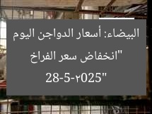 “انخفاض سعر الفراخ البيضاء: أسعار الدواجن اليوم 28-5-2025”