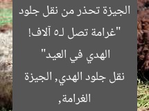 “غرامة 5 آلاف.. جيزة تحذر من نقل جلود الهدي في العيد”  
KEYWORDS_SECTION_START]  
غرامة 5 آلاف, نقل جلود الهدي, جيزة تحذر