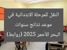موعد نتائج سنوات النقل للمرحلة الابتدائية في البحر الأحمر 2025 (روابط)