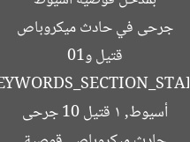 قتيل و10 جرحى في حادث ميكروباص بمدخل قوصية أسيوط  
[KEYWORDS_SECTION_START]  
حادث ميكروباص, قوصية أسيوط, 1 قتيل 10 جرحى