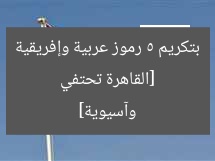 [القاهرة تحتفي بتكريم 5 رموز عربية وإفريقية وآسيوية]