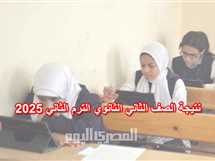موعد إعلان نتيجة الصف الثاني الثانوي 2025 في الجيزة برقم الجلوس والاسم