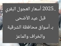 قبل عيد الأضحى 2025.. أسعار العجول البقري والخراف والماعز بـ أسواق محافظة الشرقية