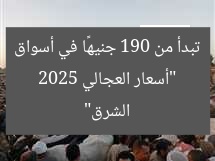 “أسعار العجالي 2025 تبدأ من 190 جنيهًا في أسواق الشرق”