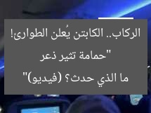 “حمامة تثير ذعر الركاب.. الكابتن يُعلن الطوارئ! ما الذي حدث؟ (فيديو)”