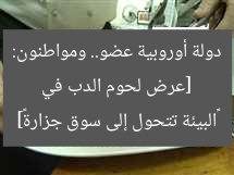 [عرض لحوم الدب في دولة أوروبية عضو.. ومواطنون: «البيئة تتحول إلى سوق جزارة»]