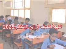 لينك نتيجة 4 ابتدائي الترم الثاني 2025 بالقاهرة.. احصل عليه فور ظهورها